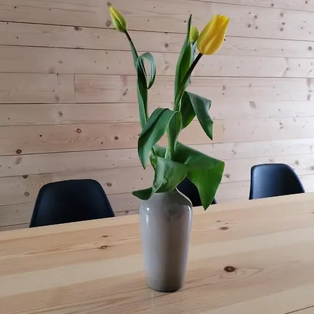 Chałupka 2 * Krempachy