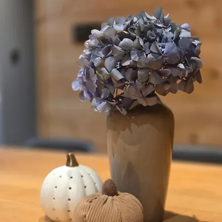 Apartament Chałupka 2 *