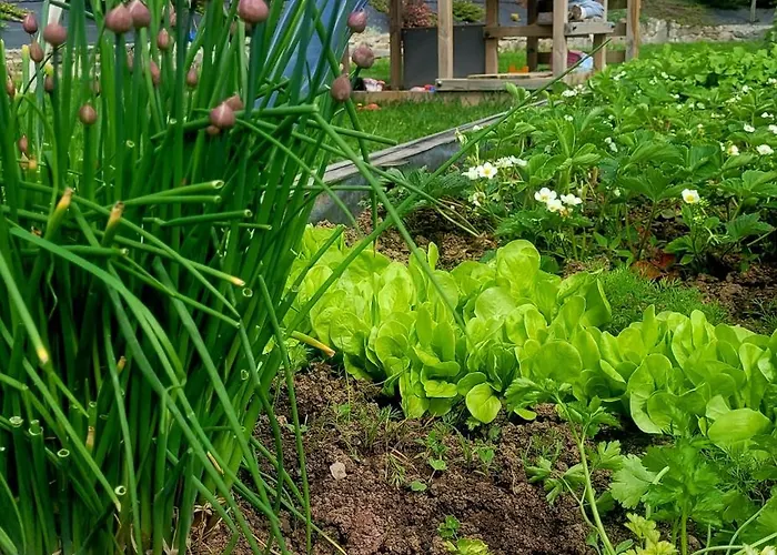 Chalupka 2 * Krempachy