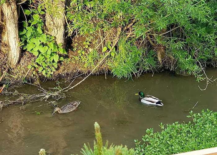 Apartamento Chalupka 2 Krempachy